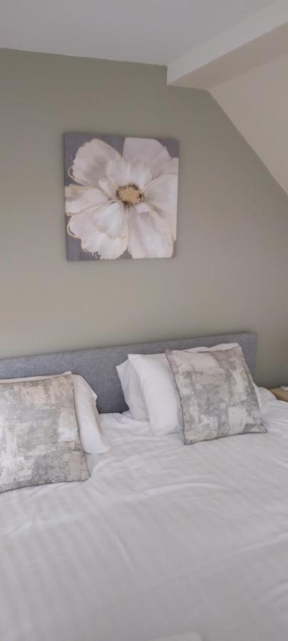 Paddy'S Palace Kilarney Apartment Killarney Ngoại thất bức ảnh